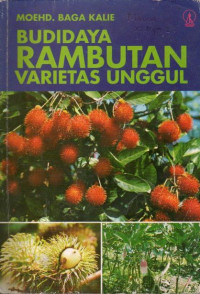 Image of Budidaya Rambutan Varietas Unggul